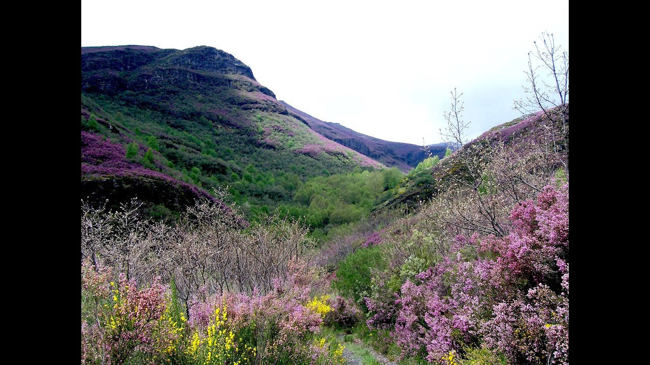 Quiroga-Caurel Montaña y Cultura activa