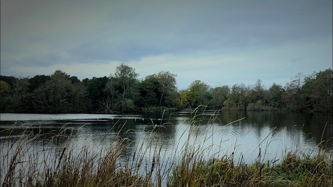 A grey-lit afternoon in Osterley Park