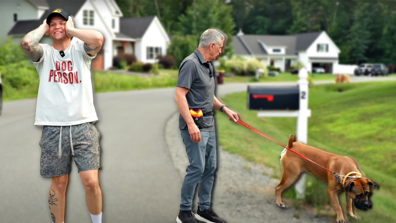 My Father-in-Law Tried Walking My Giant Dog... Big Mistake 😂