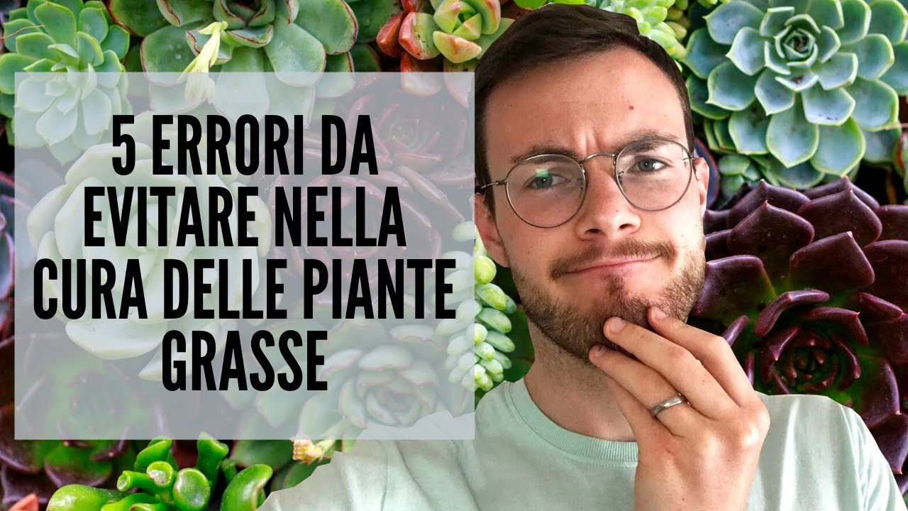 5 ERRORI DA EVITARE NELLA CURA DELLE PIANTE GRASSE