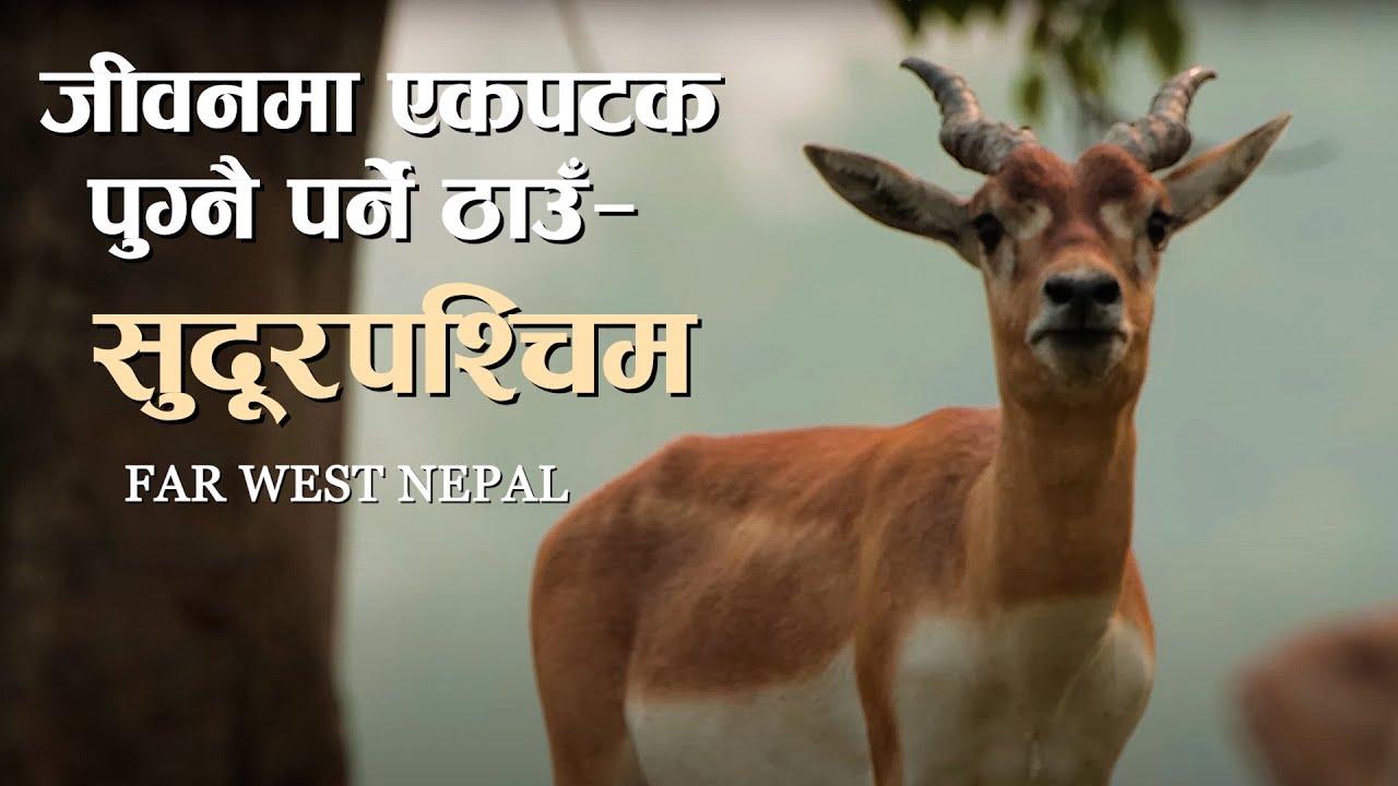 सुदूरपश्चिम | FAR WEST NEPAL | VISIT NEPAL 2024 || 4K #visitnepal2024 #sudurpaschim #farwestnepal