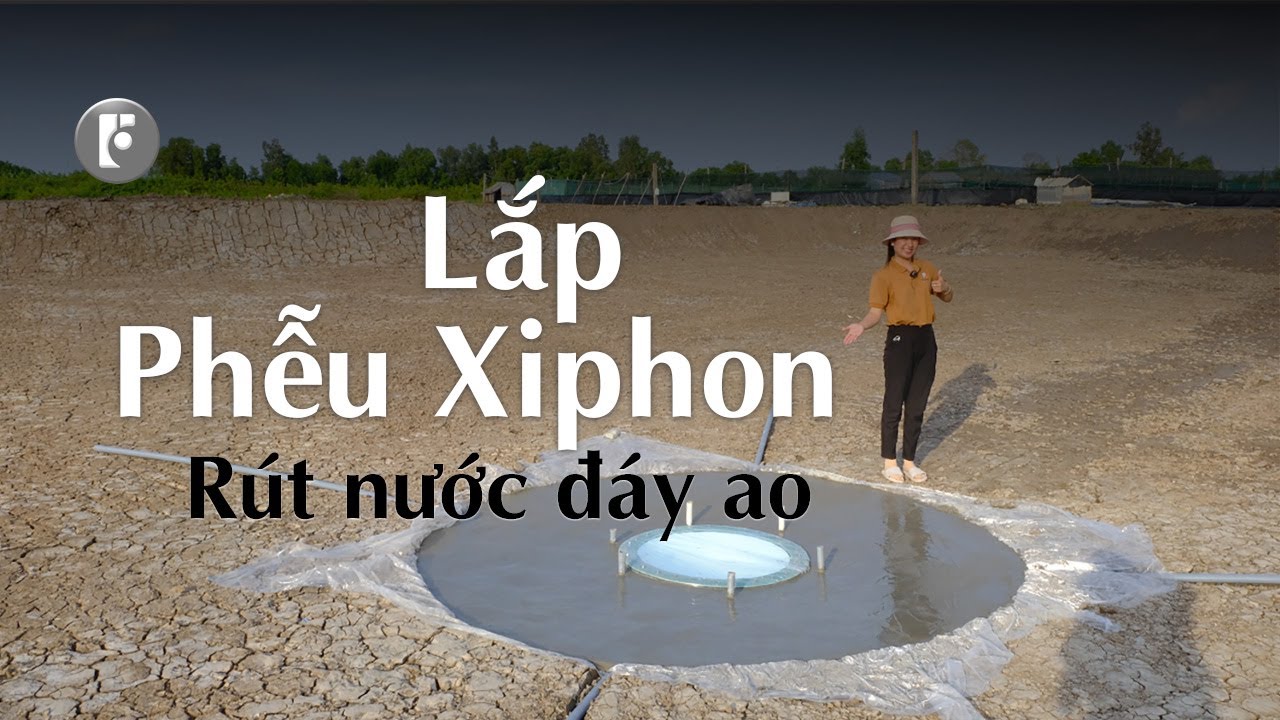 Lắp Phễu Xiphon Rút Nước Đáy Ao | Siphon Draining the Bottom of Shrimp Pond