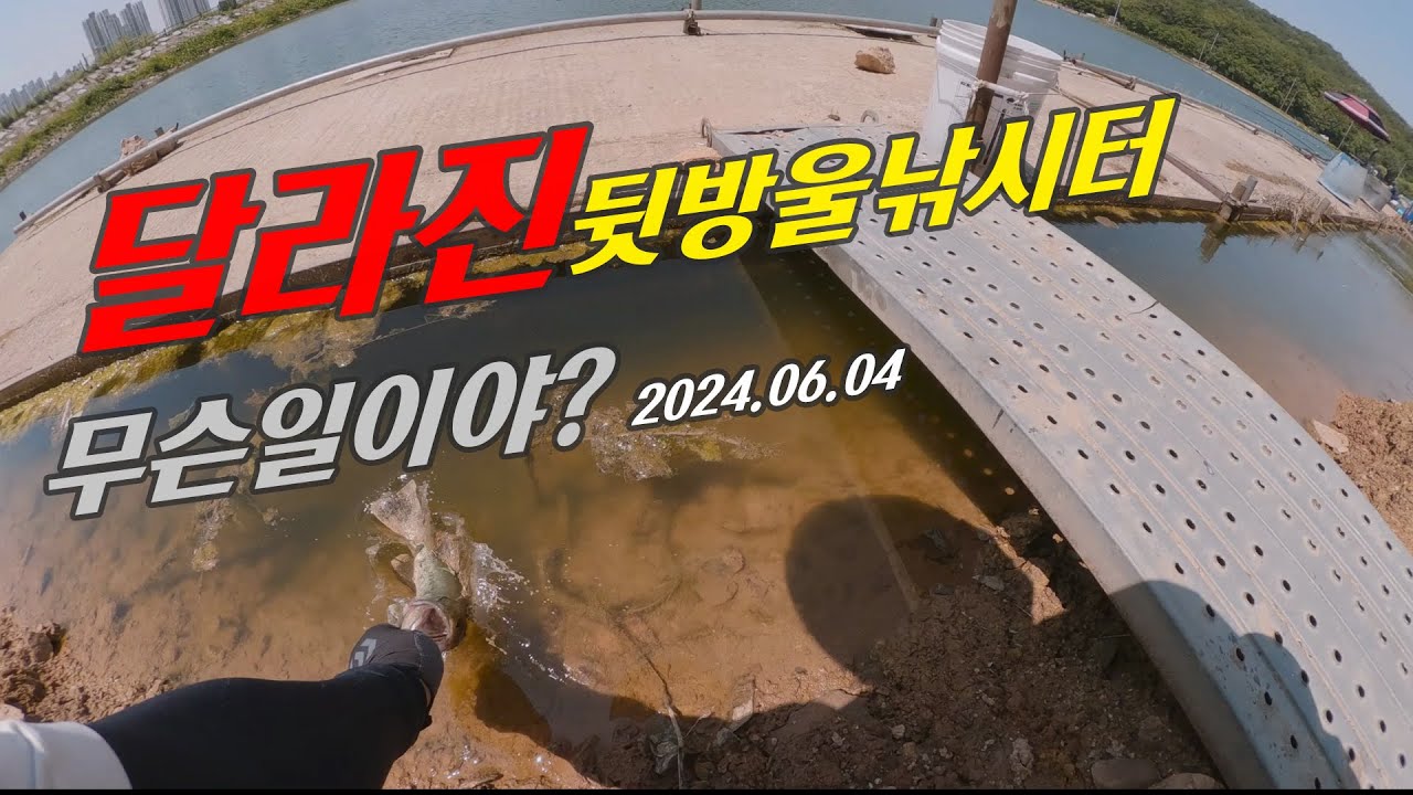 풀영상 경기 시흥 뒷방울낚시터 리벤지  #배스낚시 #fishing #저수지낚시