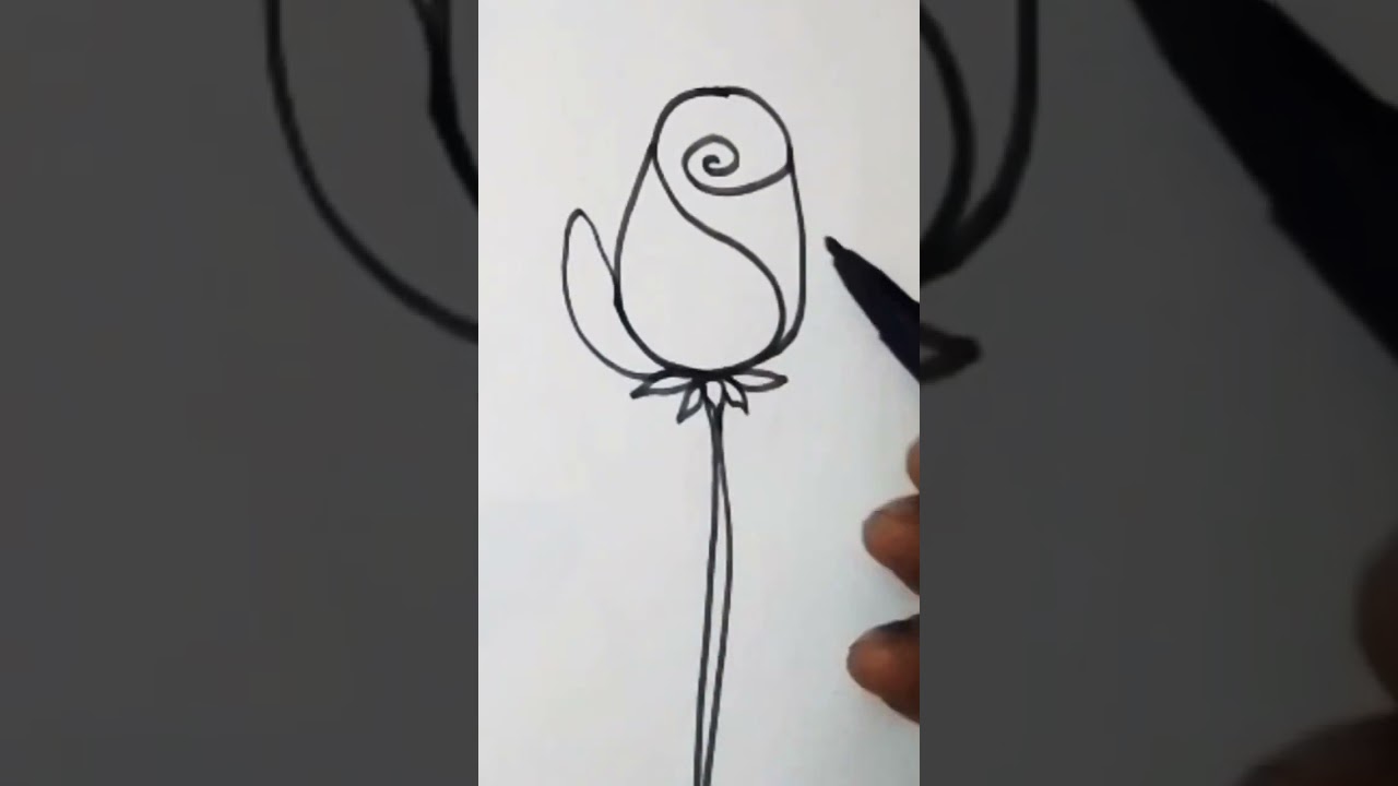 Easy Rose Flower Drawing #easydrawing #rose #art #trendingshorts #viralshort #drawing