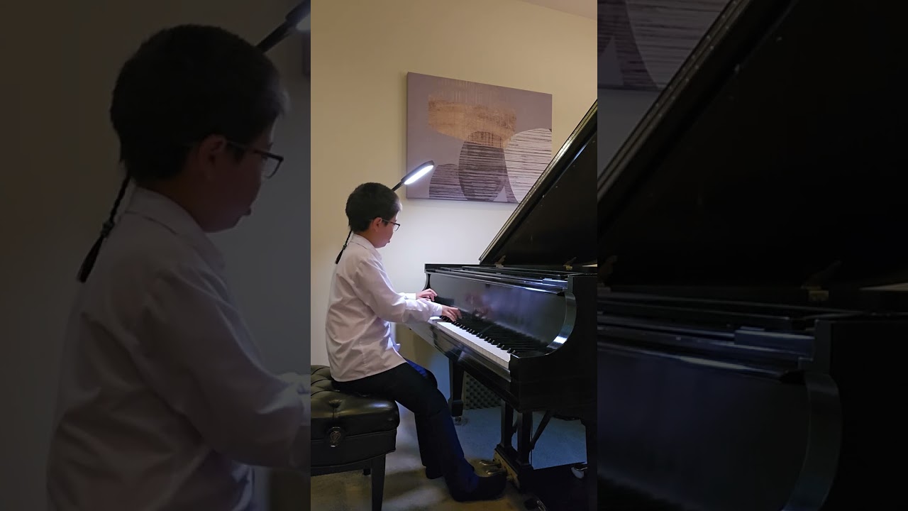 Franz Schubert - Impromptu Op.90 No.2
