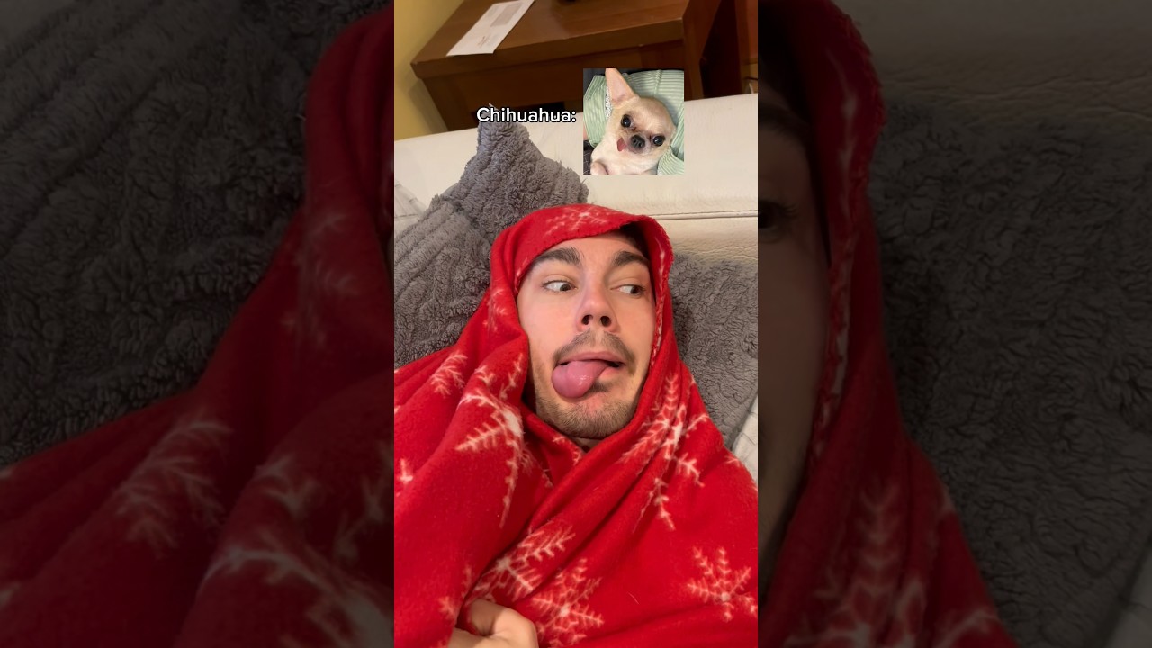 Ig: odey__gil💙 10k??#humorviral #humorperros #humormascotas #perrosderisa #memesdeperros