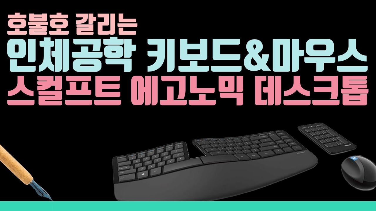 호불호 극강...의 인체공학 키보드&마우스, 마이크로소프트 스컬프트 에고노믹 데스크톱을 쓰고 있습니다...!