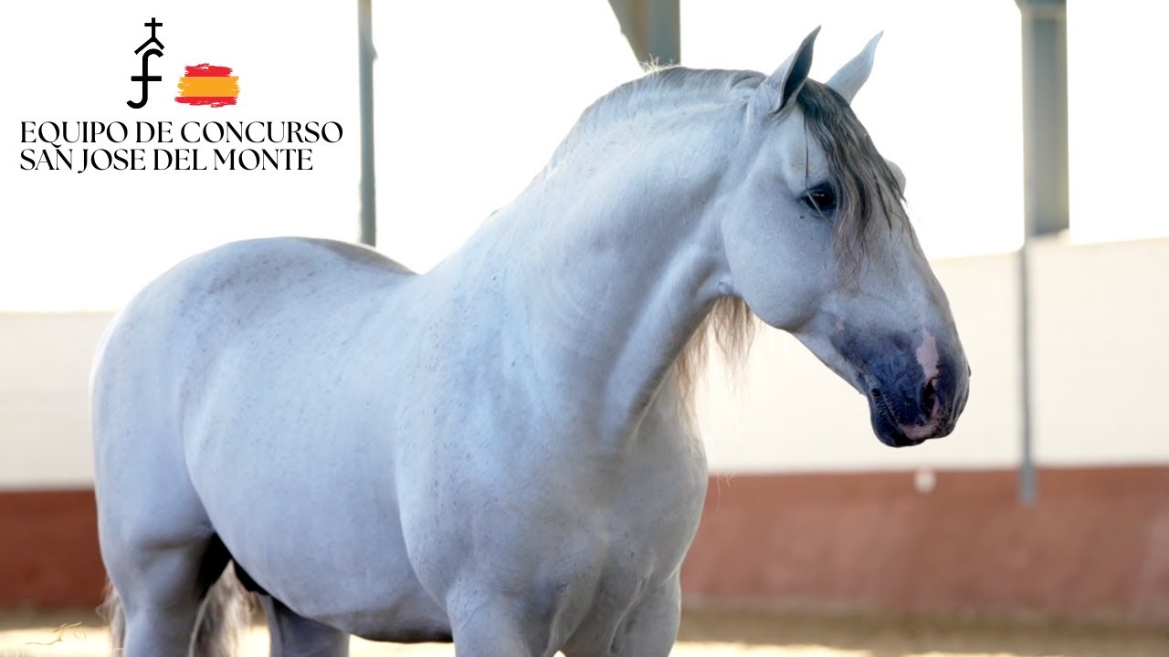 YEGUADA SAN JOSE DEL MONTE (ESPAÑA 2023)
