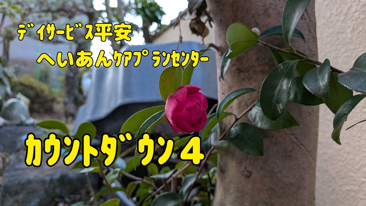 【Vlog742】ﾃﾞｲｻｰﾋﾞｽ平安　へいあんｹｱﾌﾟﾗﾝｾﾝﾀｰ  カウントダウン４