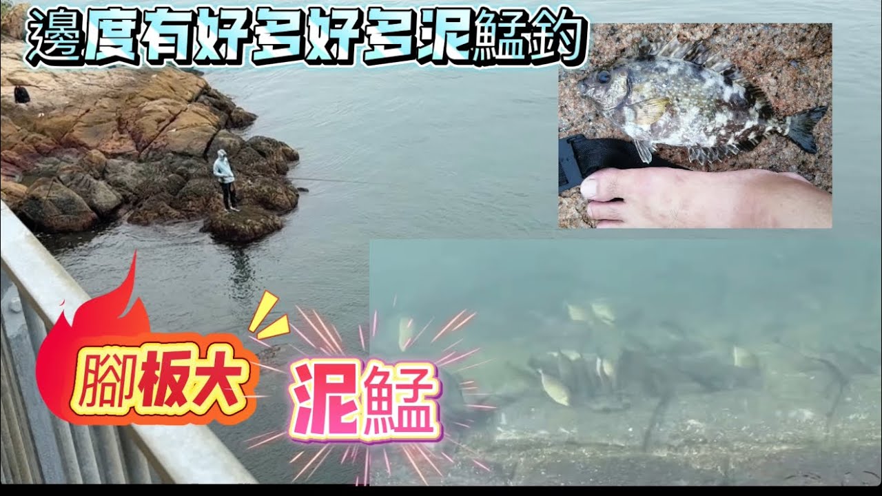 泥鯭大大條再見！