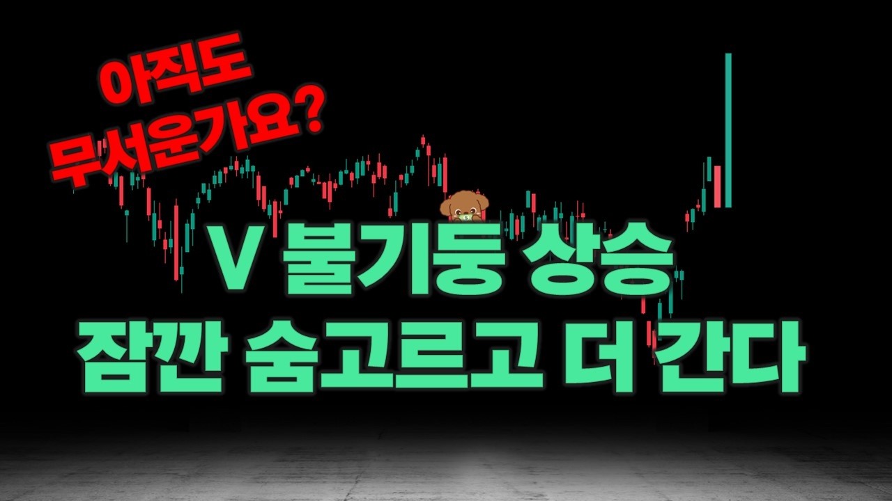 여전히 무서워하며 손가락만 빨고 계실건가요? 나스닥 비트코인 이더리움 마이크로스프트 엔비디아 테슬라 아마존 메타 팔란티어 오라클 FNGU 로빈후드 분석