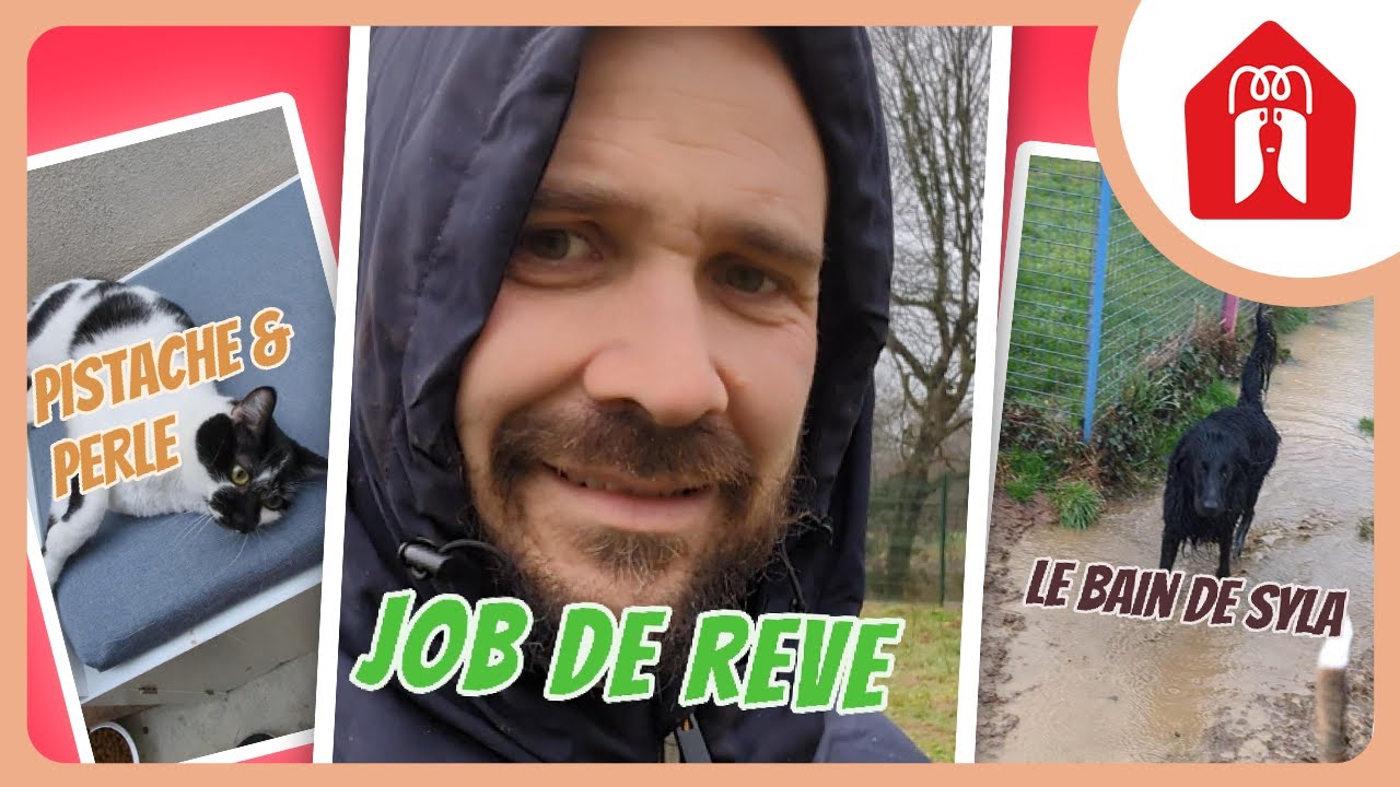 RDV chez France Travail ! 🐶 Pension CHEZ MARTH' 87 #22