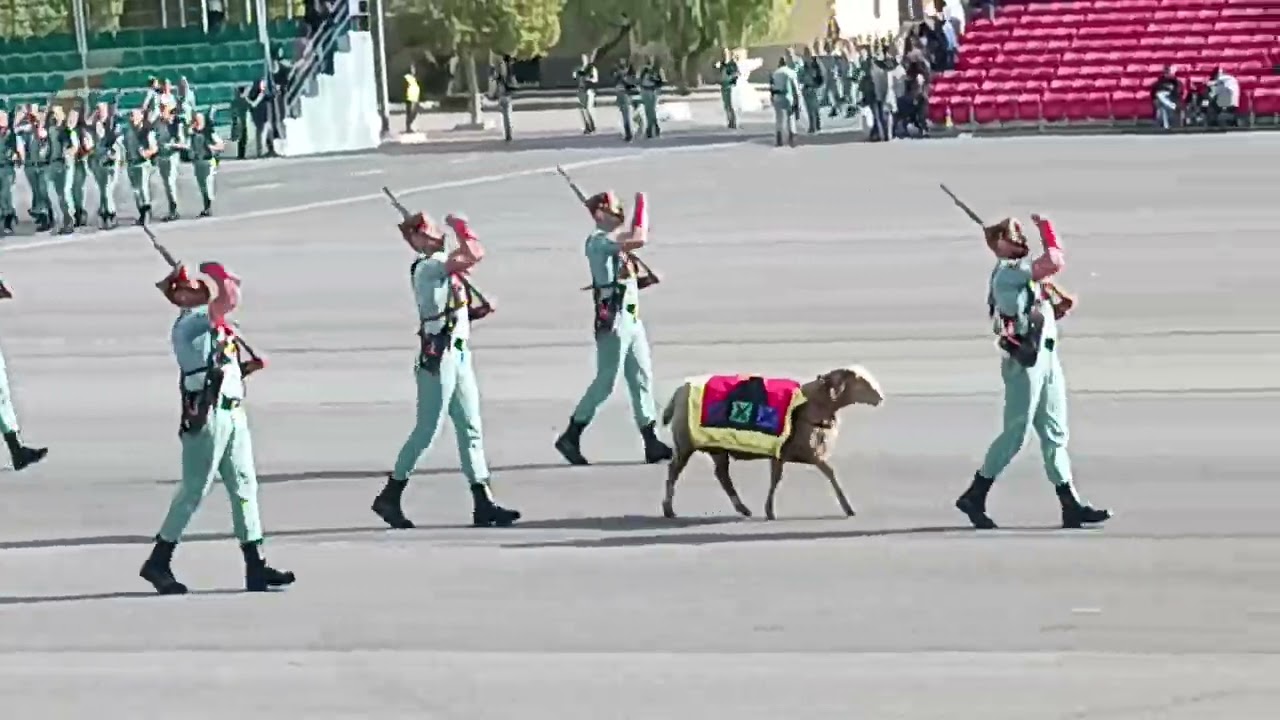 LA LEGION. Día de la Inmaculada Concepción, BRILEG ALMERIA.🇪🇸
