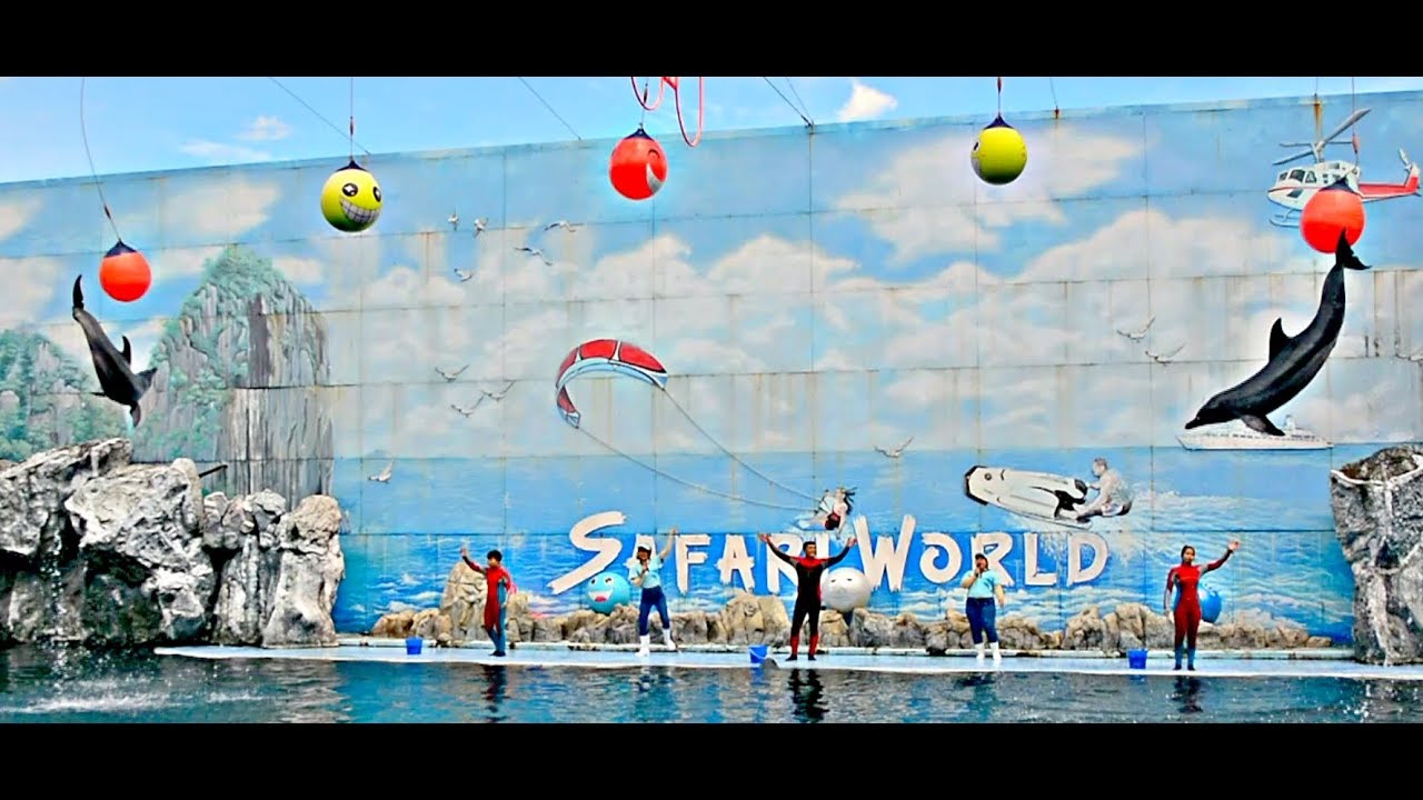 Dolphin Show in Safari World Bangkok Thailand