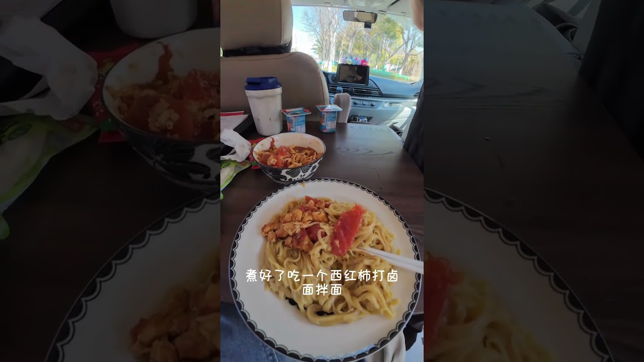 A daily Vlog of two people and a dog living in a recreational vehicle. Maybe I m not fully