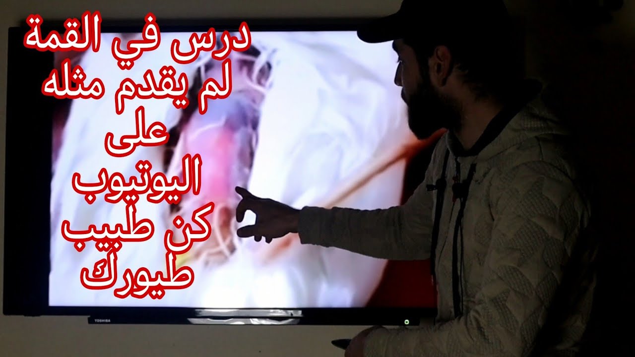 20 دقيقة ستجعل منك محترف في تشخيص وعلاج جميع الأمراض المعوية عند طيور الكناري والحسون