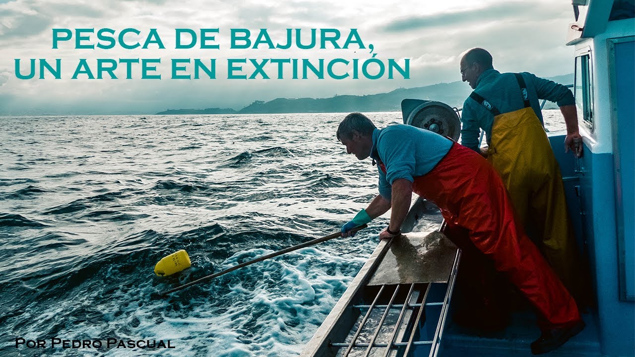La PESCA de bajura en Galicia, un ARTE en EXTINCIÓN