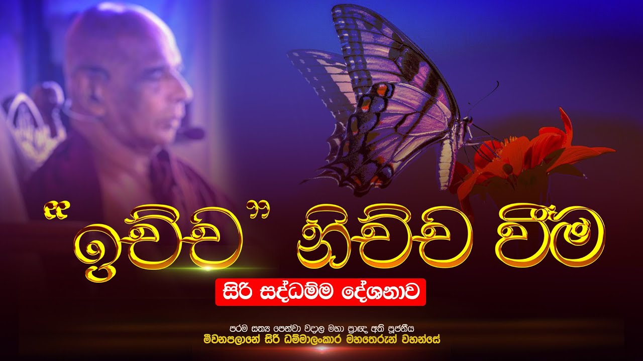 ⭕ ඉච්ච  නිච්ච වීම | සිරි සද්ධම්ම දේශණාව | මහා ප්‍රාඥ්‍ය  මීවනපලානේ සිරි ධම්මාලංකාර මහතෙරුන් වහන්සේ