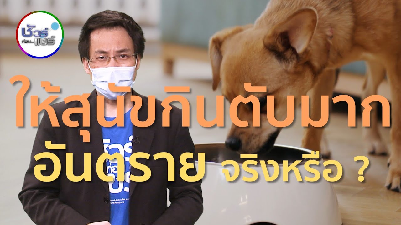 ชัวร์ก่อนแชร์ : ให้สุนัขกินตับมากอันตราย จริงหรือ ?