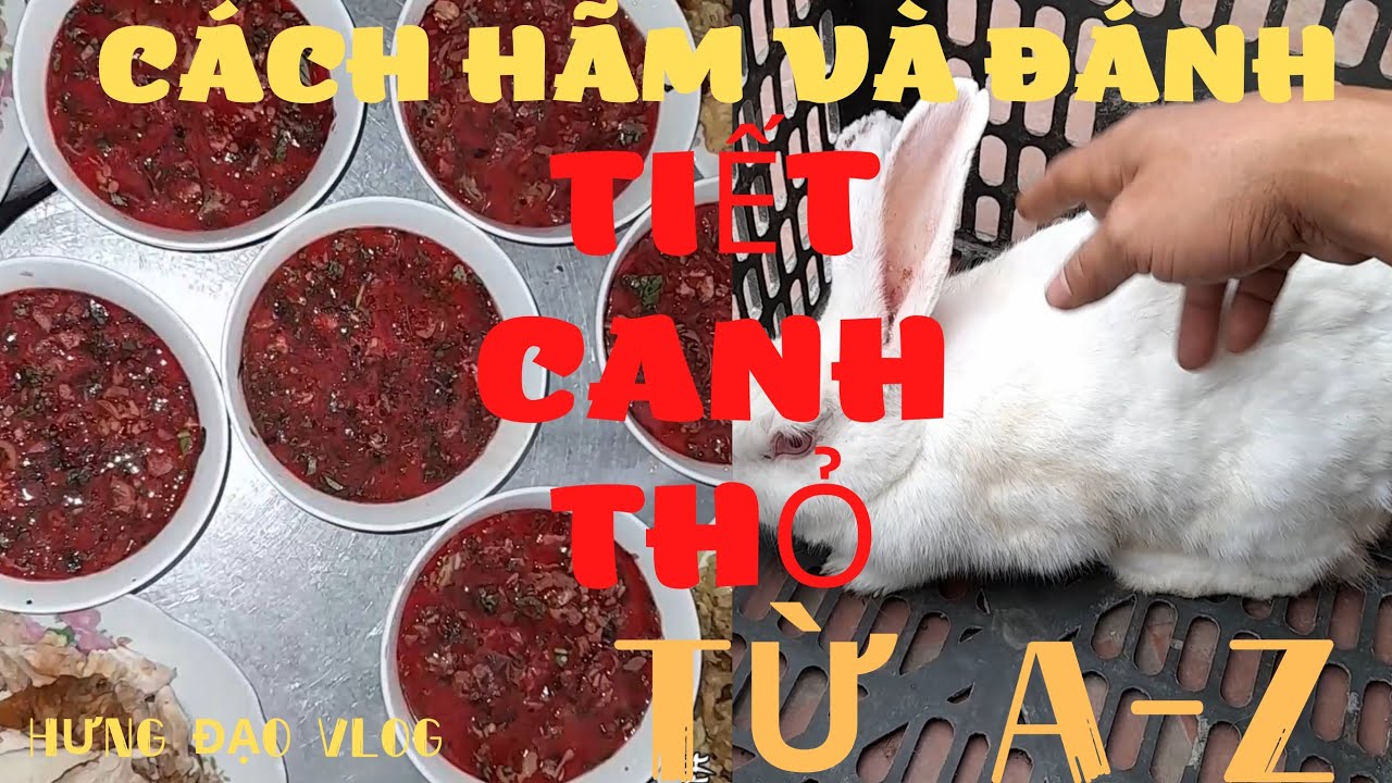 Hưng Đạo Vlog. Chia sẻ cách hãm tiết canh thỏ và cách đánh tiết canh thỏ cực chuẩn ai cũng làm được