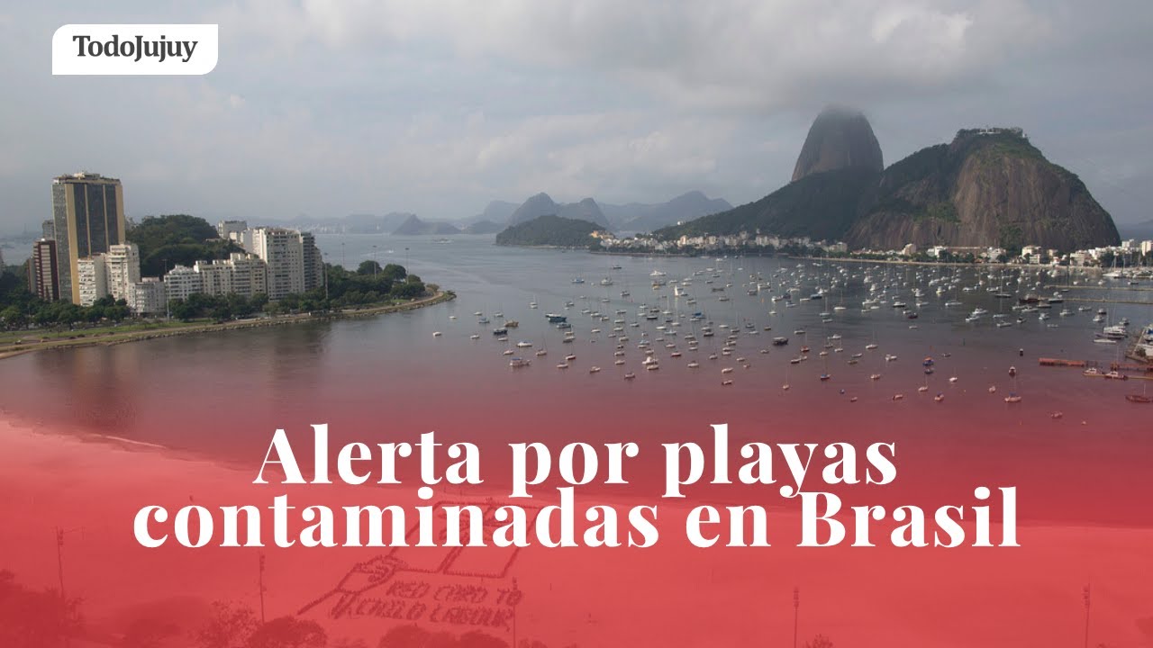 Alerta por playas contaminadas en Brasil