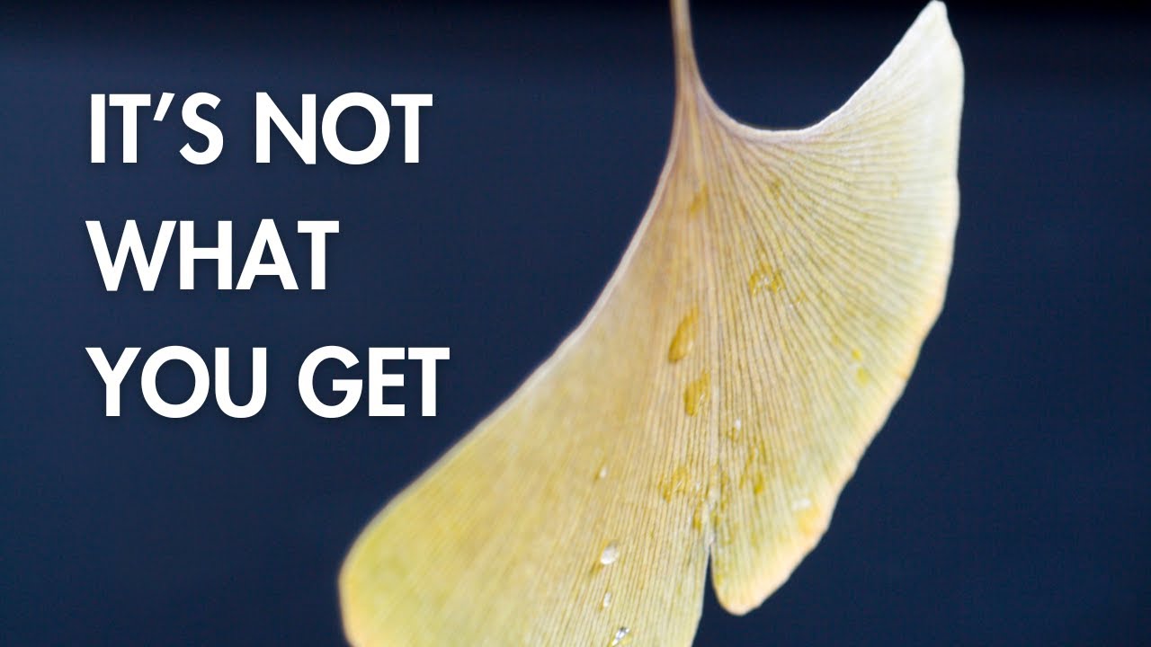 Избавление от препятствий #letgo