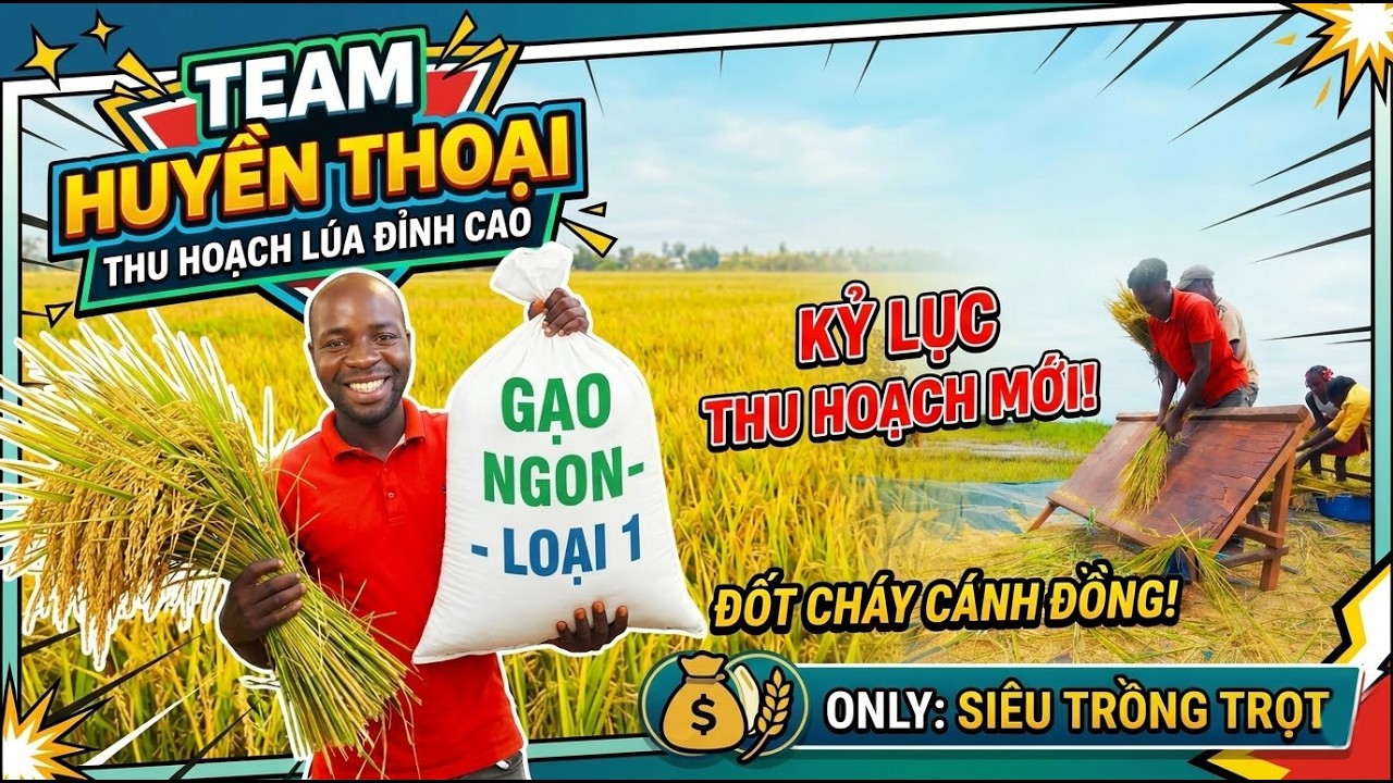 Đình Thế Vlogs ||  Team Huyền Thoại - Ngày Hội Ra Quân Gặt Lúa Đỉnh Cao.