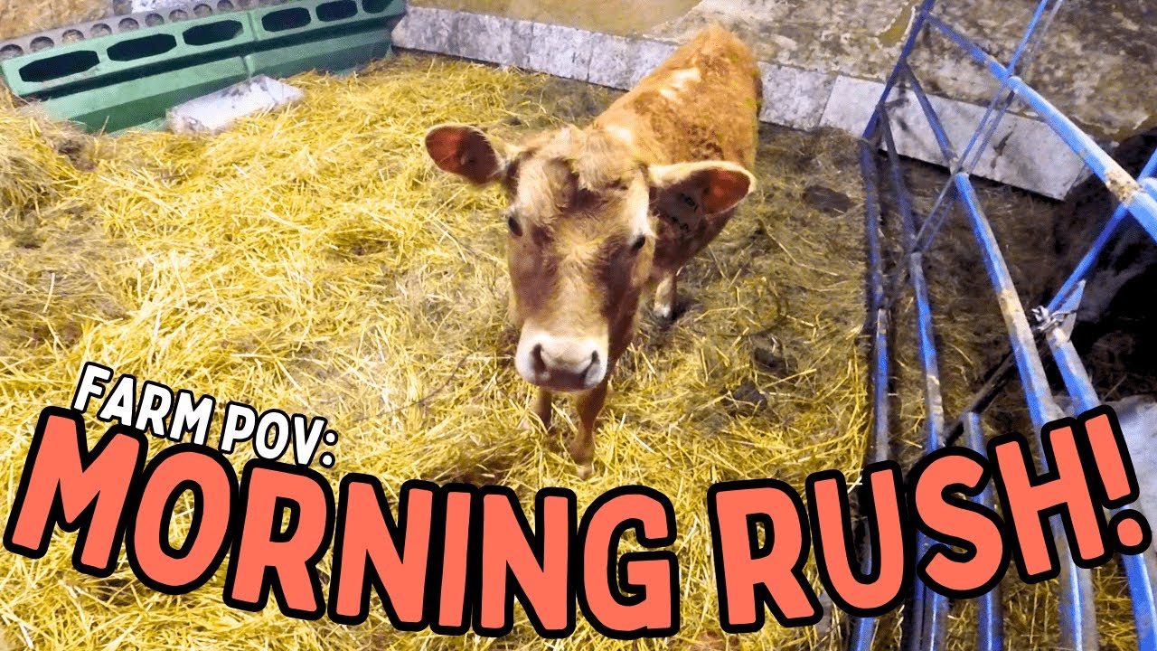 Farm POV: Back With the Barn Fam