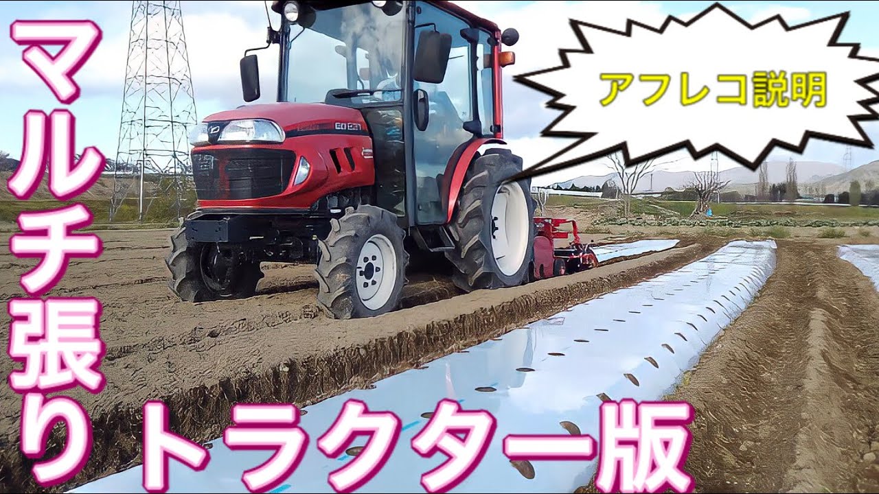 【マルチ張り】トラクター版マルチ張り　ヤンマーEG 231