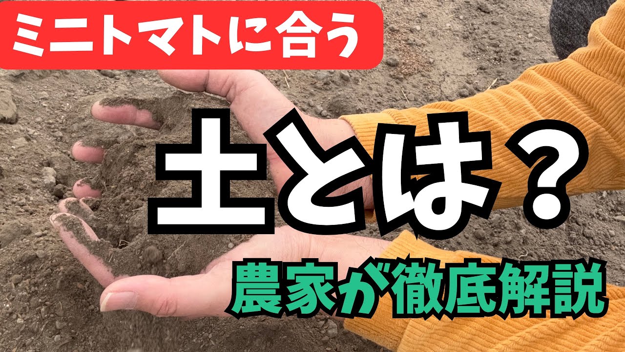 【農家が徹底解説】ミニトマトと相性の良い土とは？