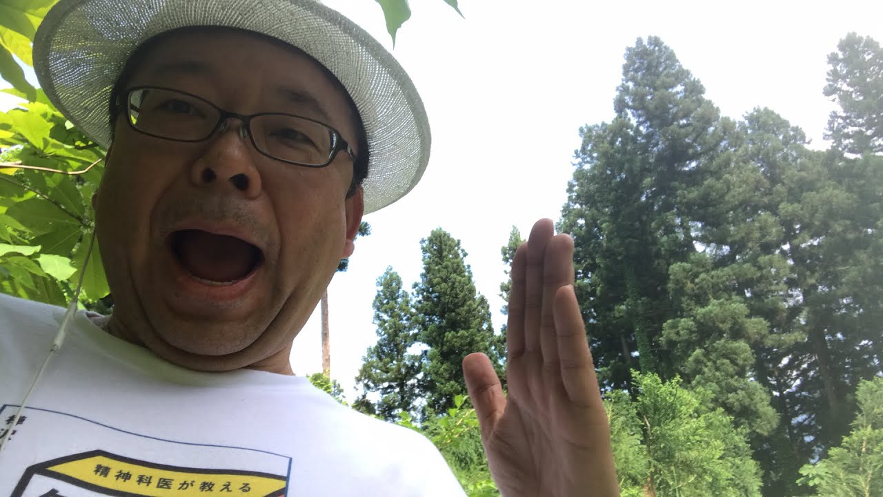 樺沢城攻城記（後半）【精神科医・樺沢紫苑】