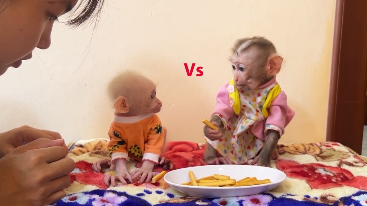 [Eating Contest] Yuri & Minea Racing Eating Full Mouth Scared Of Losing HAHA