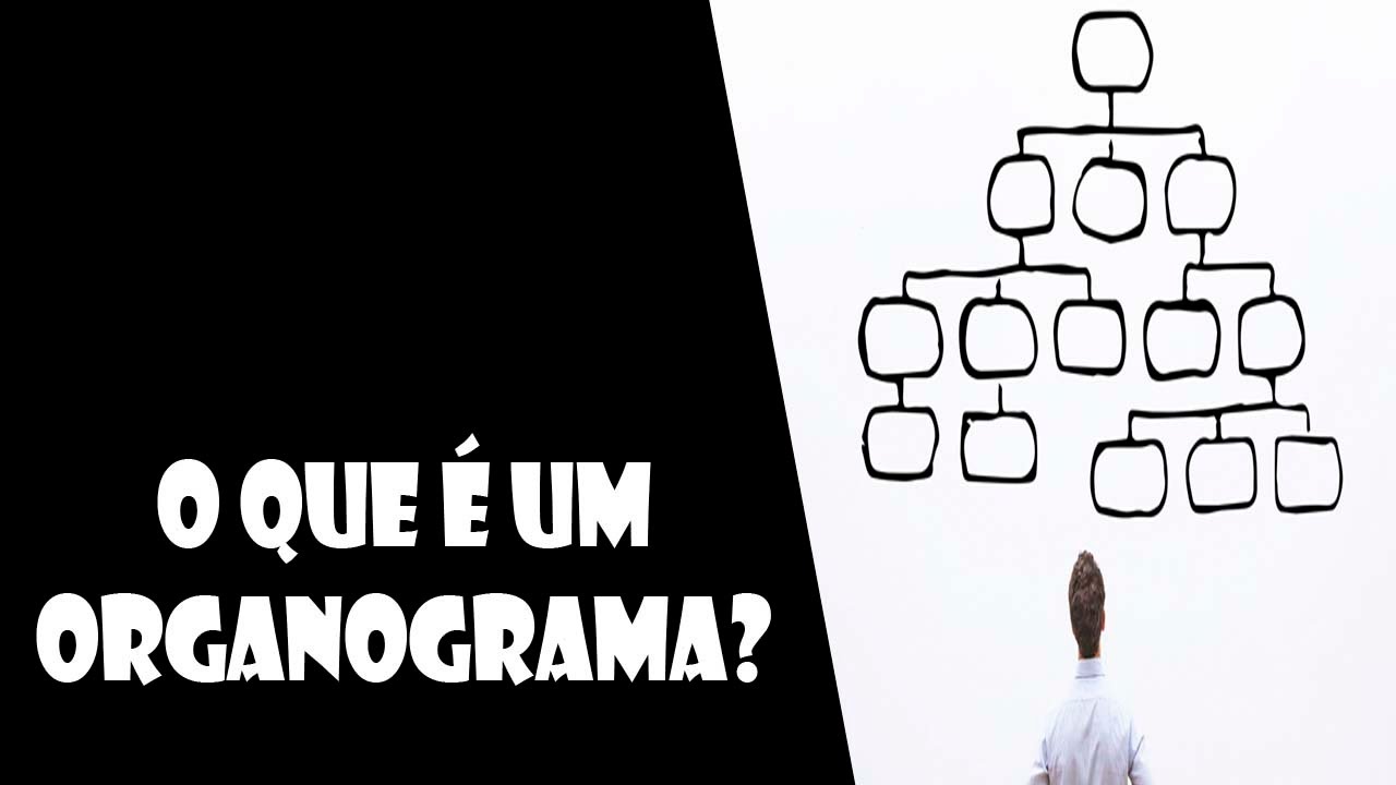 O que é um Organograma?