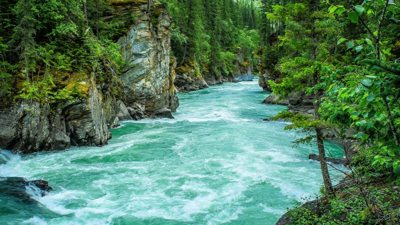 30 minutes relaxing music  tuneone.  #AllDayRefresh #30mindeepsleepmusic  #healing music tuneone