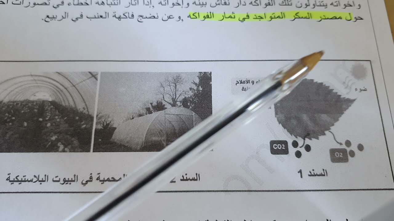 فرض الفصل الثاني علوم طبيعية سنة أولى متوسط