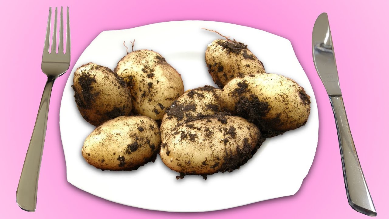 Die 5 leckersten Wege, Kartoffeln zuzubereiten