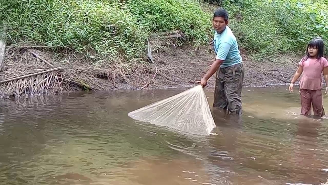 jala mania dapat banyak, mantap