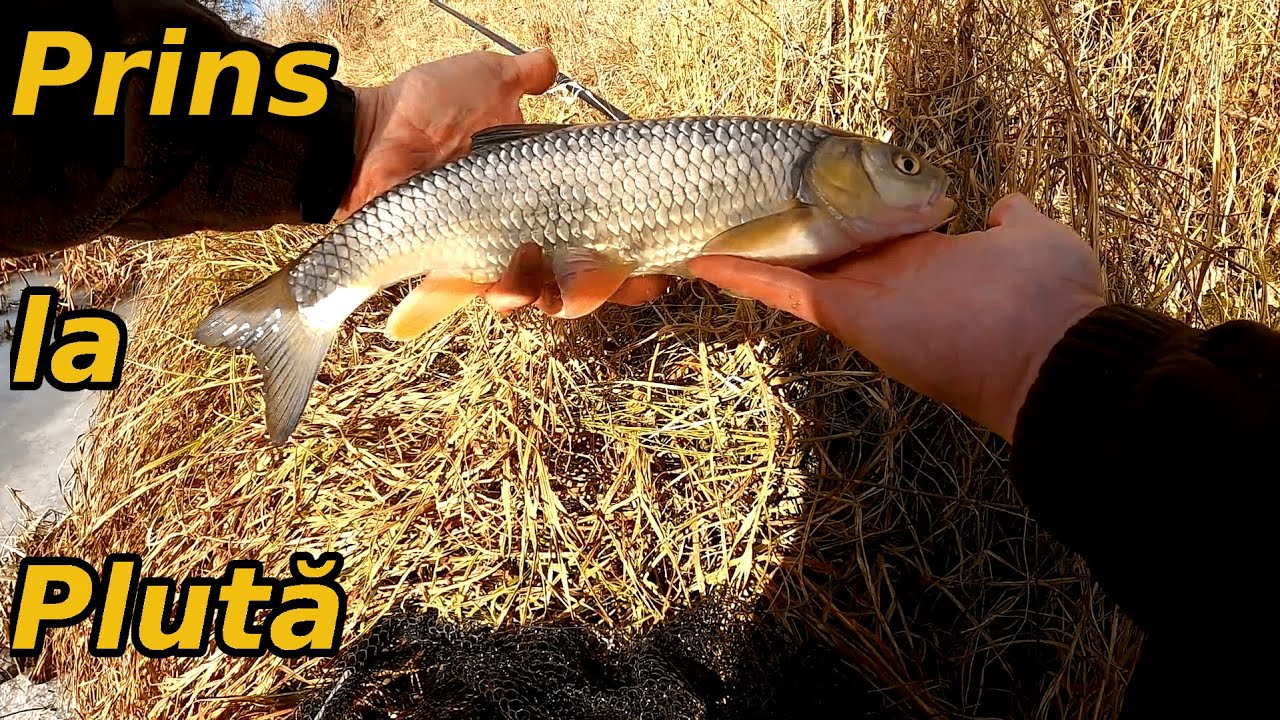 Pescuit la Plută după Clean la Sfârșit de Decembrie