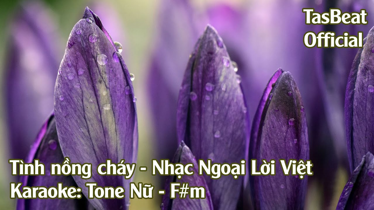 Karaoke Tình Nồng Cháy - Tone Nữ | TAS BEAT