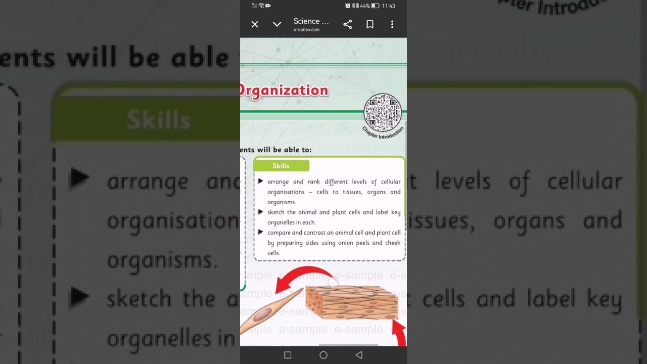 Science 6 Unit 1 Lecture 1