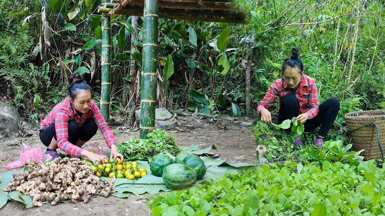 Harvesting Vegetable Garden with Ginger and Papaya, A Simple Trip to the Market