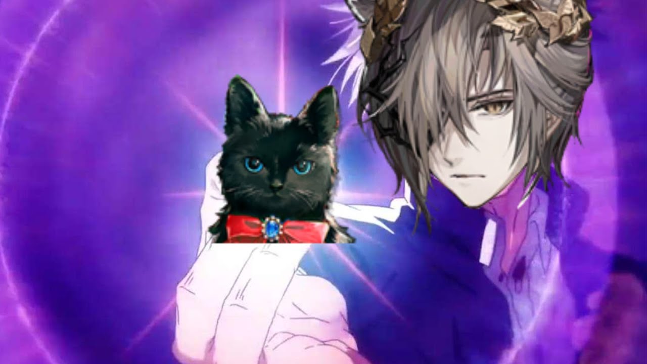 Phantom nuke IS6 with his cat