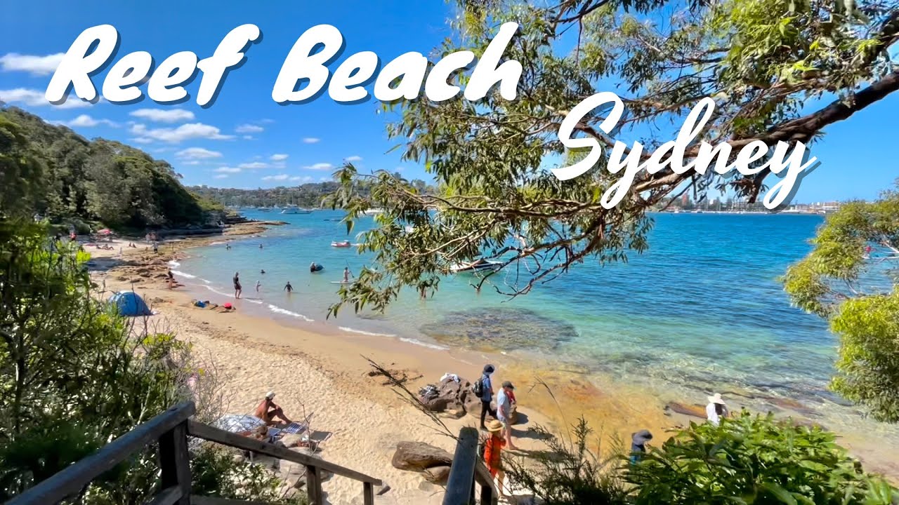 Reef Beach, a Beautiful Hidden Beach in Sydney's North Harbour Australia