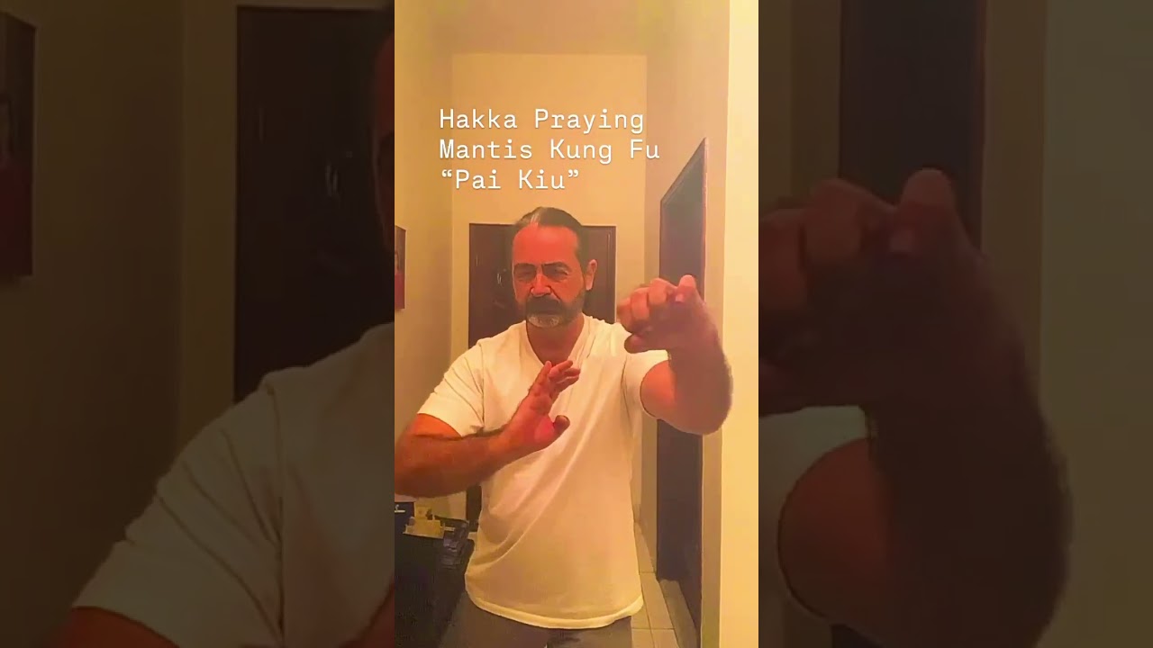 Hakka Southern Praying Mantis Kung Fu &ldquo;Pai Kiu&rdquo; #abudhabi #kungfu #dubai #prayingmantiskungfu