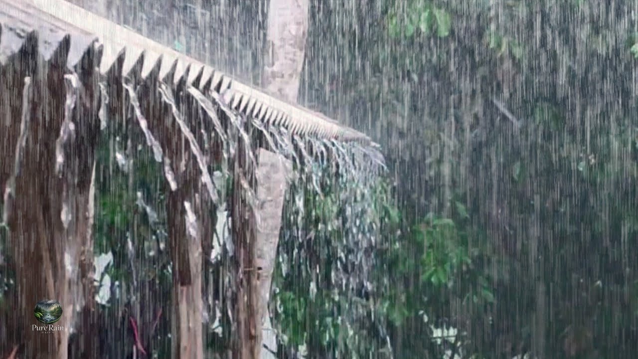 Pure Rain Cascading from Rooftop | Ultimate Relaxing Sound for Insomnia Relief