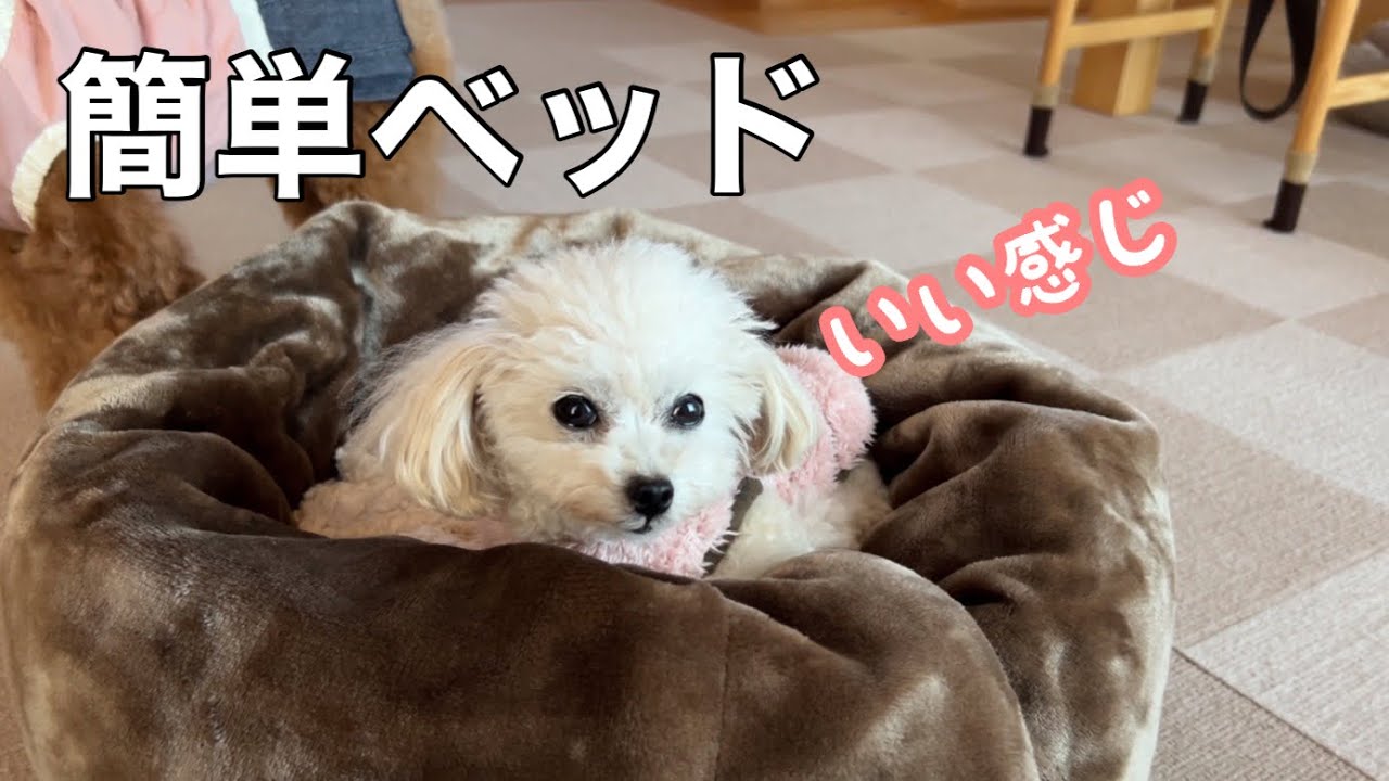 簡単ペットベッドを作ってみたよ