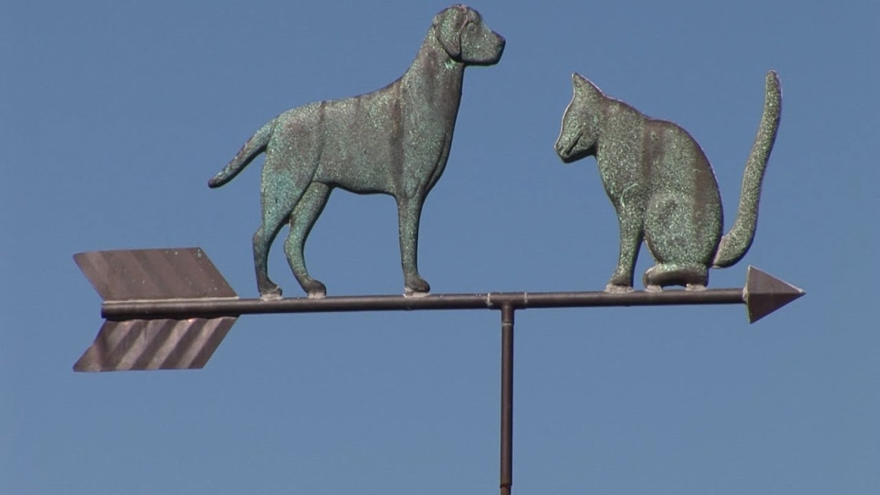 Andover Animal Hospital