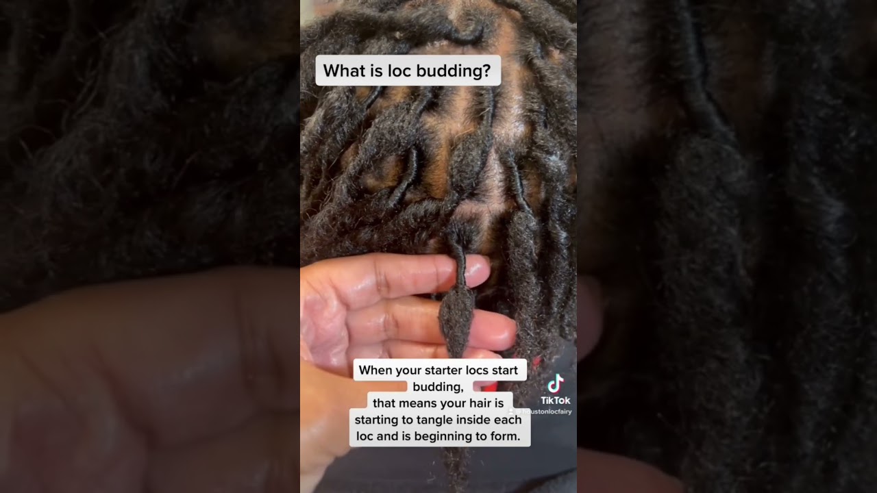 What to Expect when Growing Locs / Loc Budding Process - HoustonLocFairy