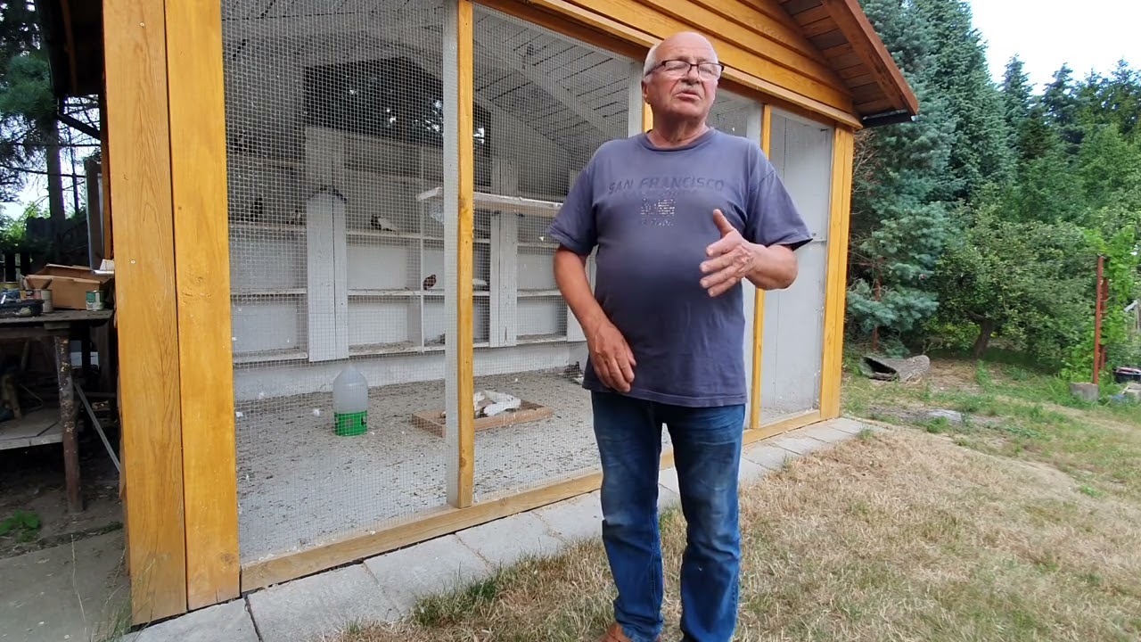 Gołebie zamojskie - Powrót do korzeni odc. 8