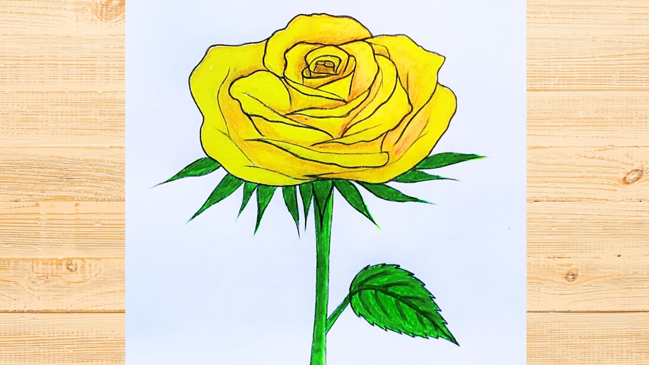How to draw a rose step by step tutorial | Rose flower drawing technique | গোলাপ ফুল আঁকা